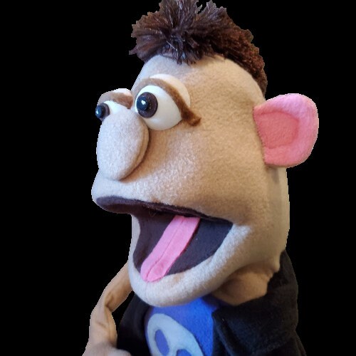 Custom Small Movable Mouth Hand Puppet, Muppet Style Portrait Character Puppet
